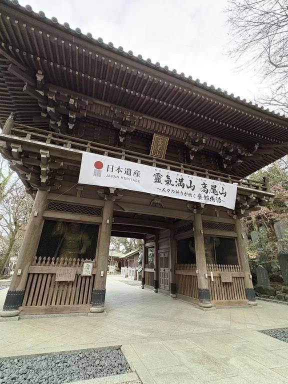 みてくれたかな？