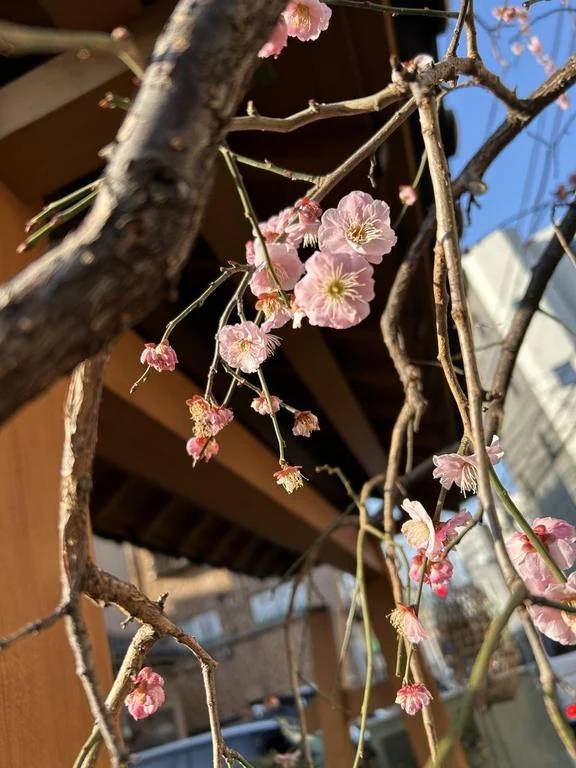 タラレバ人生は…♪