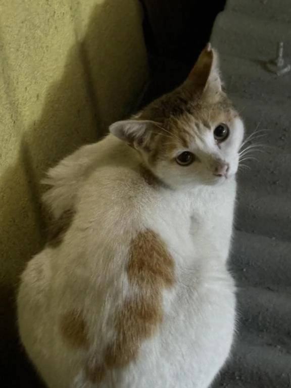 イベントのお知らせ📢