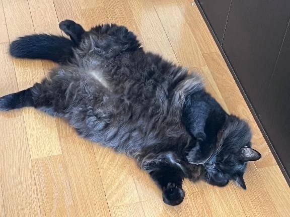 出勤してます♡