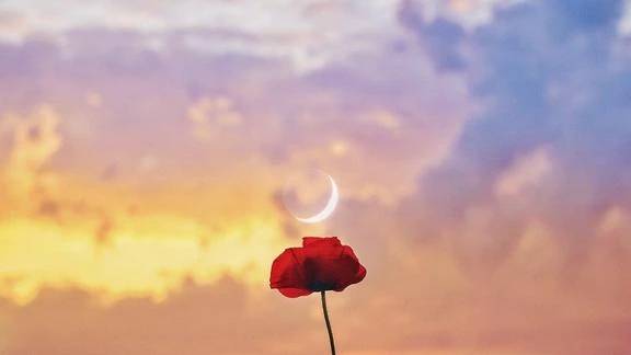 💖ありがとう🥹💖