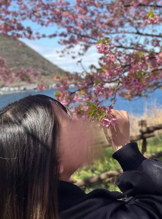 さくらサク🎶🎶