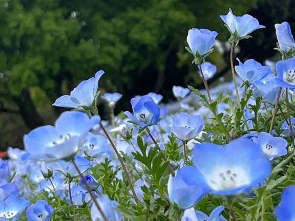 お題日記に回答✩.*˚