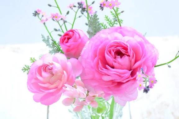 今日のありがと♡