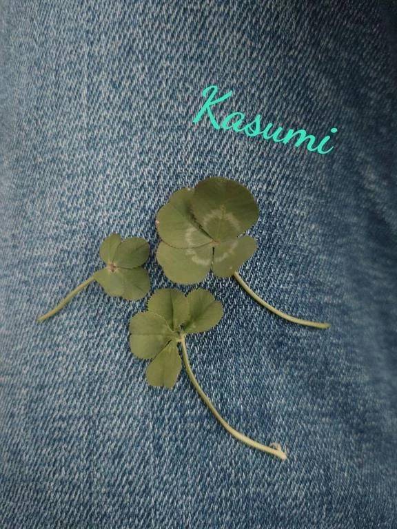 本日の♡