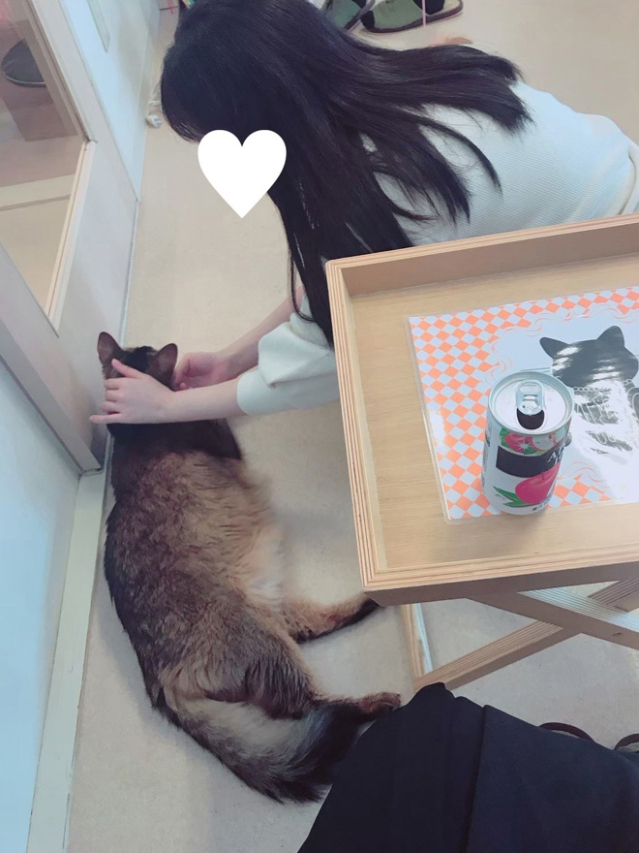 圧倒的な美貌☆ほのか（最後の楽園　～愛のある場所～）