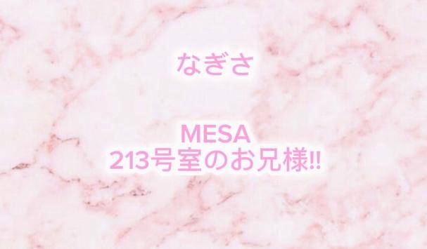 MESA 213号室 お礼?? ??-?