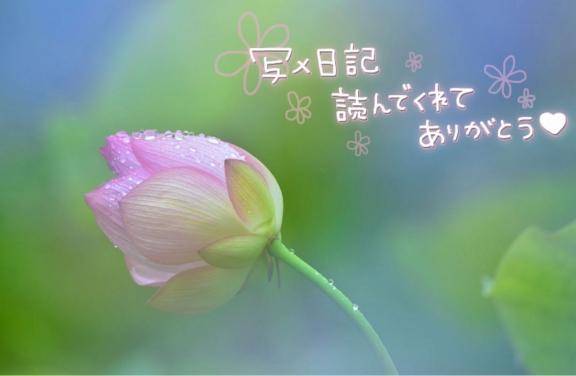 昨日いちばん最初に来てくれたお兄さん?