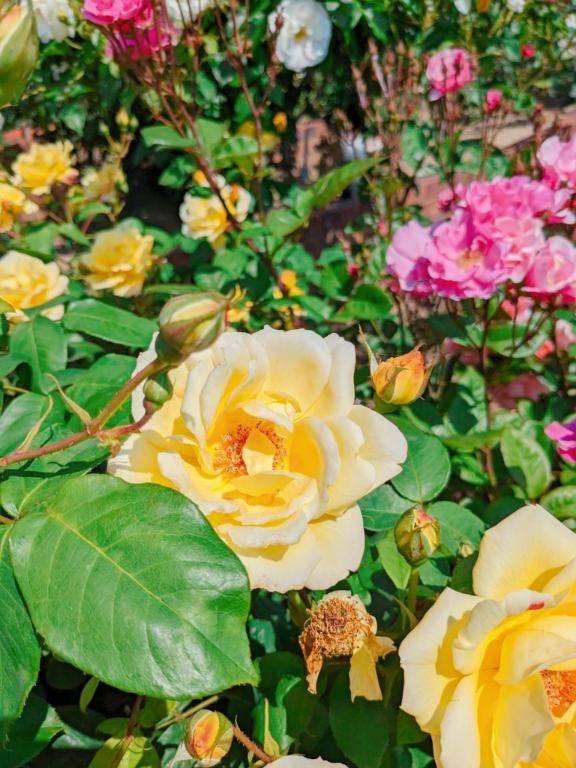 お礼?本指名glowのお兄さん♪