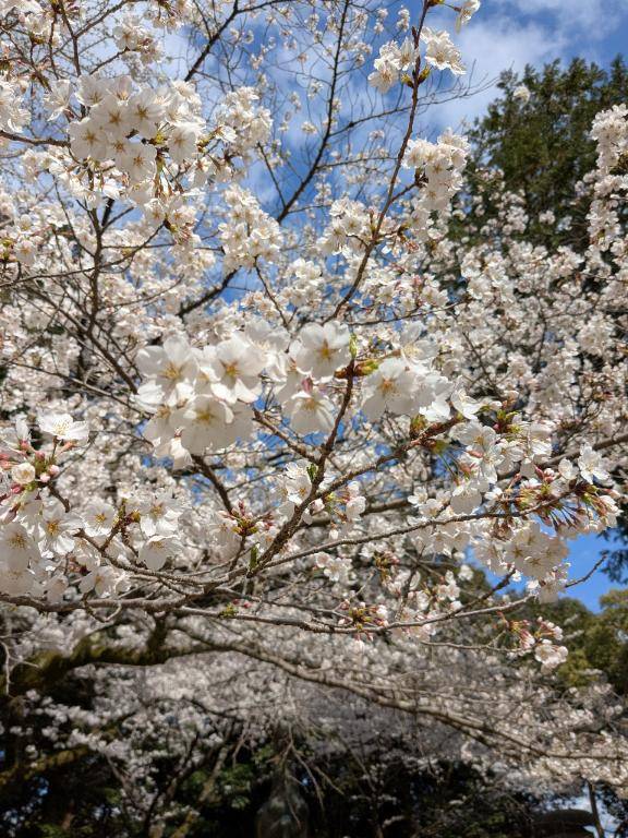 お礼?本指名bijouのお兄さん♪