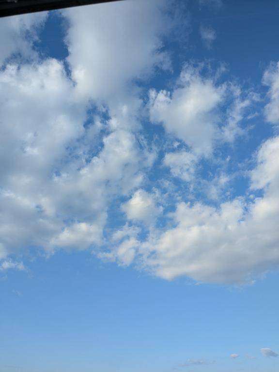 お礼?レスティのお兄さんへ♪