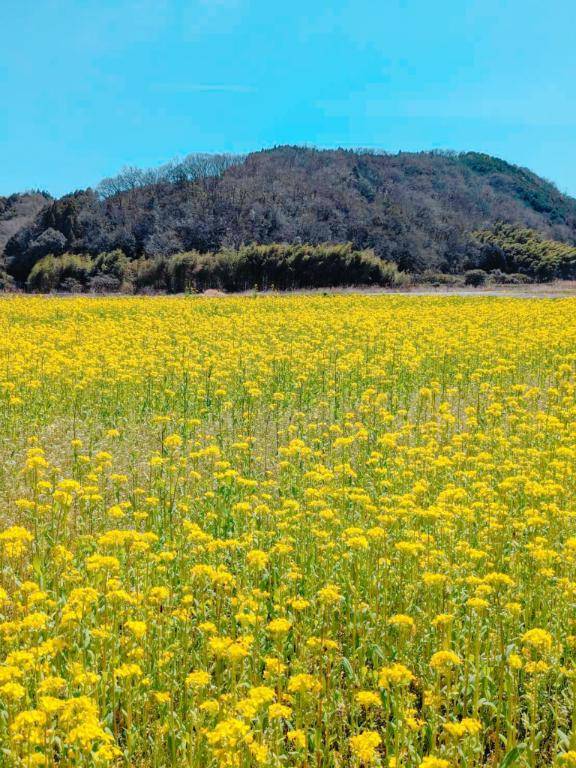 お礼?本指名恋からのお兄さん?
