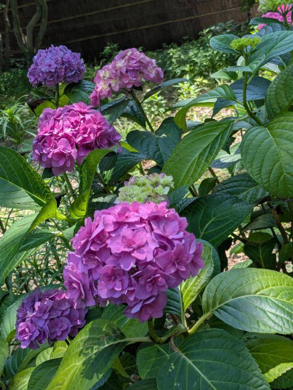 お礼?HOTEL　Оのお兄さんへ