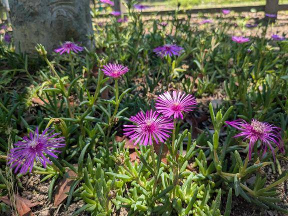 お礼?タウンのお兄さん?