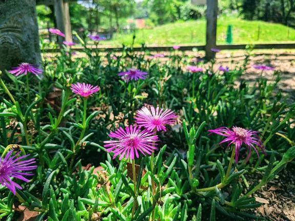 お礼?本指名グランヴィアのお兄さん?