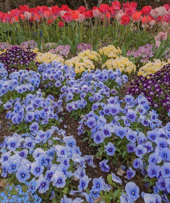 お礼?bijouのお兄さん?