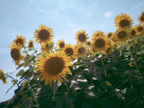 お礼?本指名USAのお兄さん