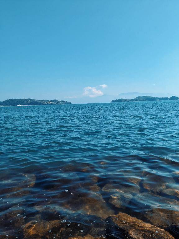 お礼?本指名パルクスのお兄さま