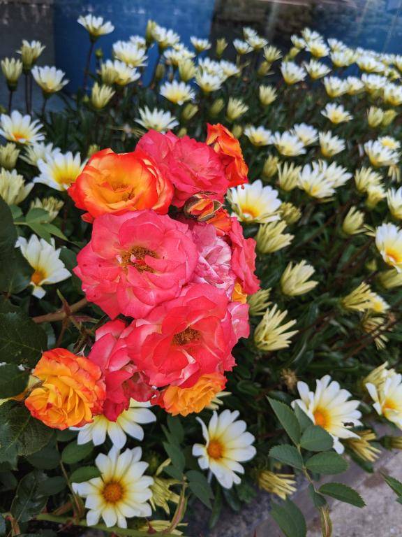 お礼?本指名MOZのお兄さん?