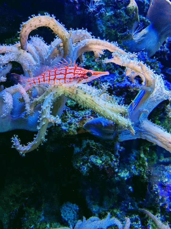 お礼?本指名HOTEL　Оのお兄さん?