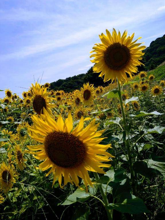 お礼?本指名パルクスのお兄さん?