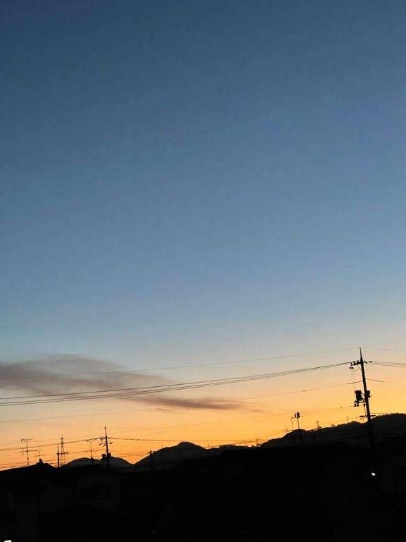 お礼?パルクスのお兄さん?