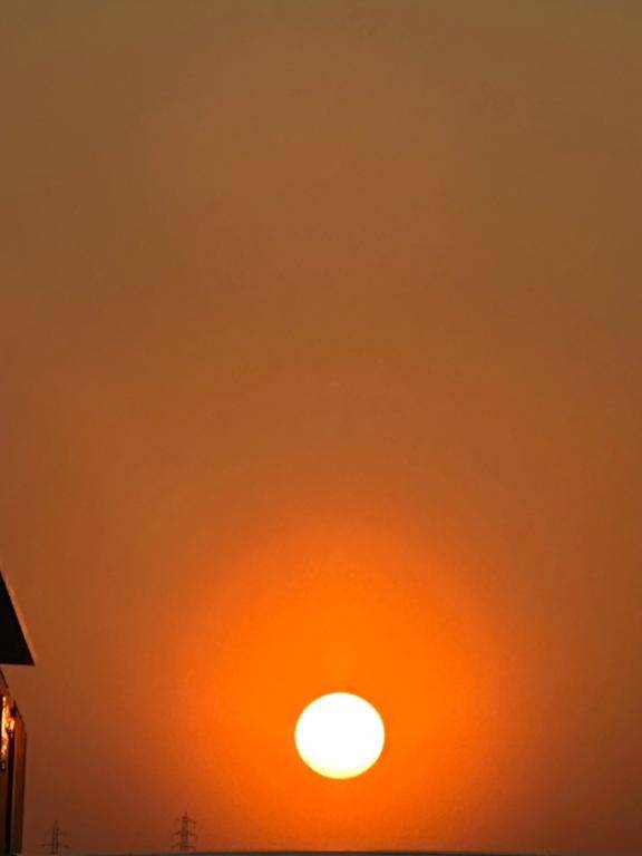 お礼?ラビアンローズのお兄さん?