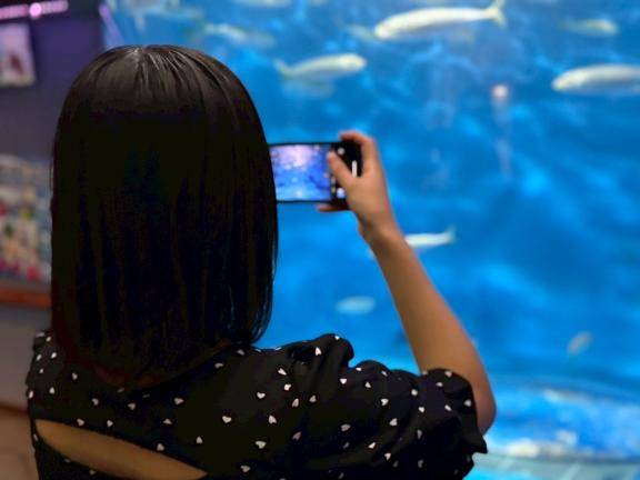 たいたいきーん