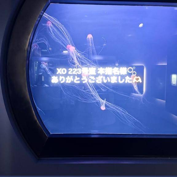 XO223号室の本指名様へ?