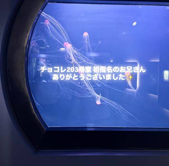 チョコレ203号室の初指名お兄さんへ??