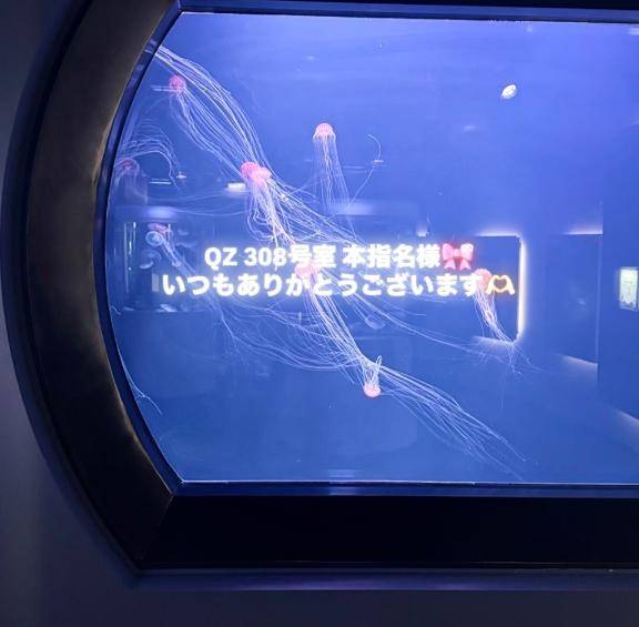 QZ308号室の本指様へ?