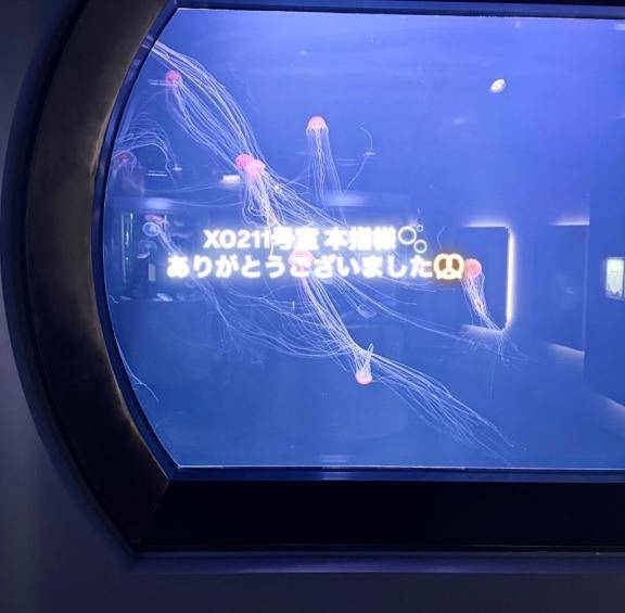 XO211号室の本指様へ?