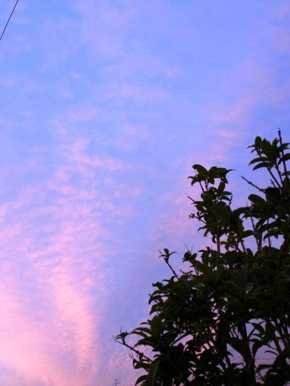 お礼?本指名泉田Fineのお兄さん?