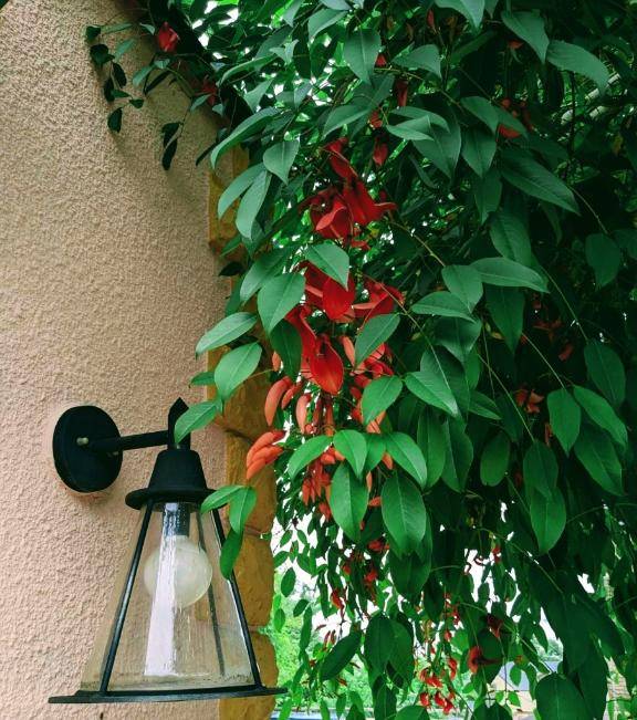 お礼?本指名HOTEL Оのお兄さん?