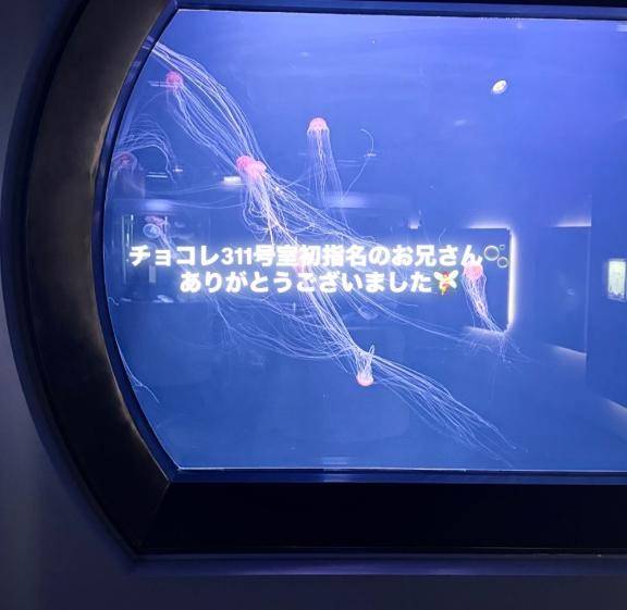 チョコレ311号室のお兄さんへ?