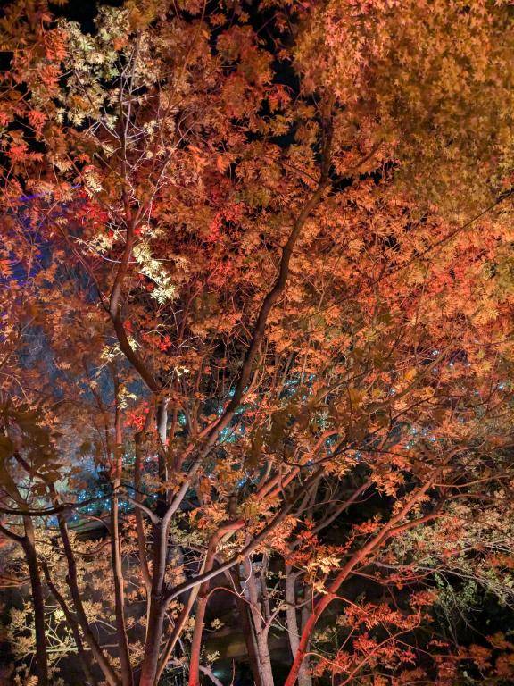 お礼?本指名ご自宅のお兄さん♪