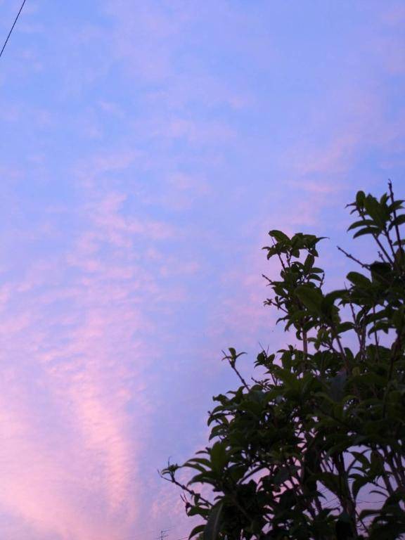 お礼?本指名ご自宅のお兄さん♪