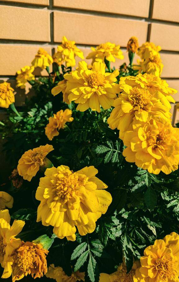 お礼?本指名glowのお兄さん♪