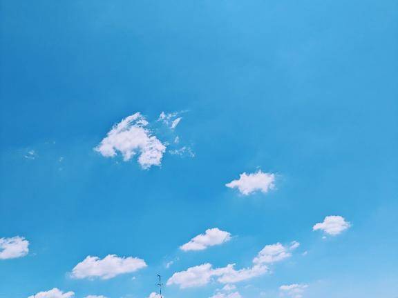 お礼?マイラのお兄さん♪