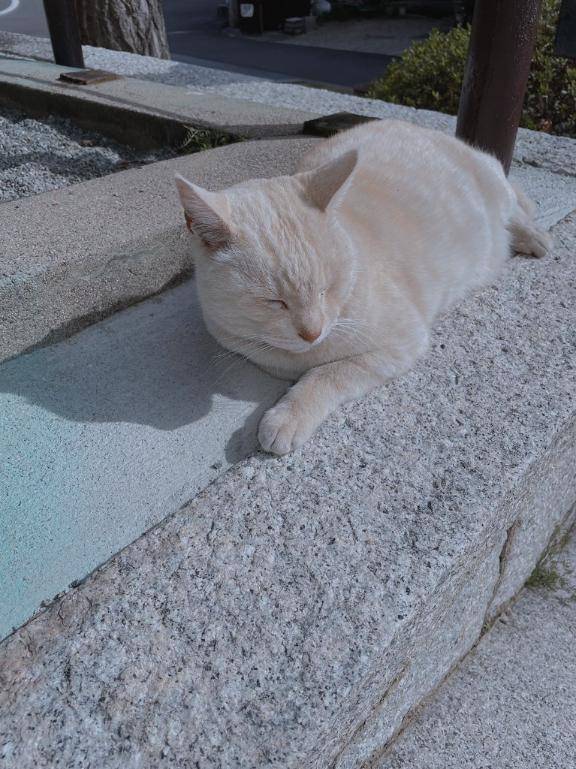 お礼?本指名新Agehaのお兄さん♪