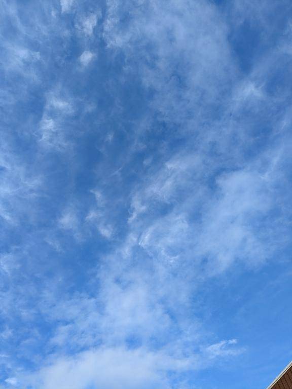 お礼?レスティのお兄さん♪