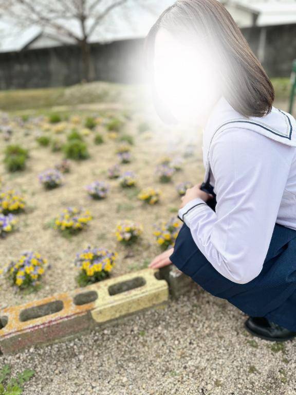 さくら（RANKAN－ランカン－）
