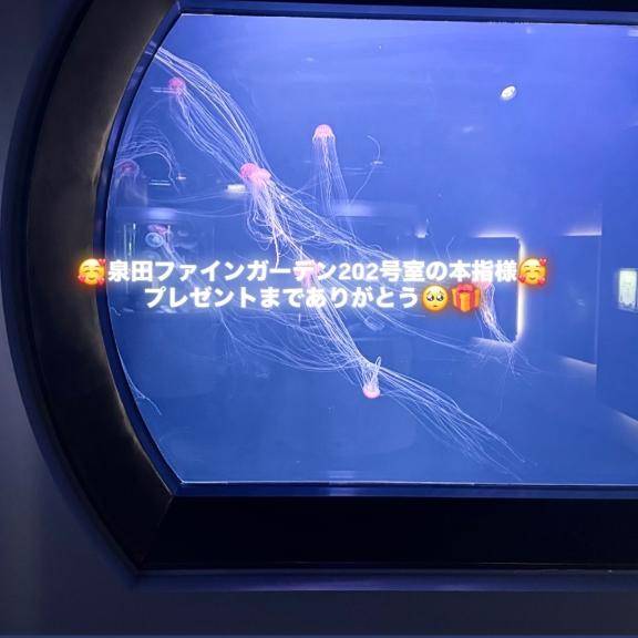 泉田ファインガーデン202号室の本指様へ??