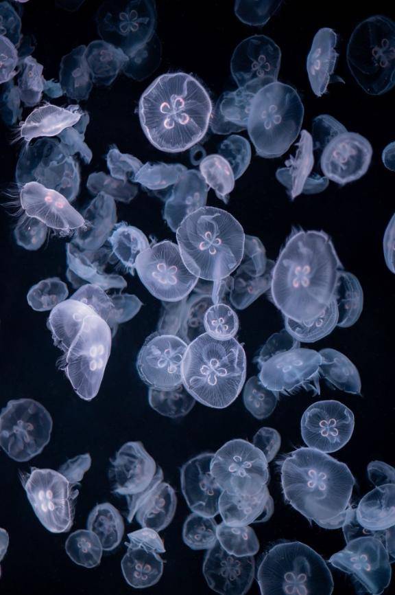 2025年ありがとうございました??