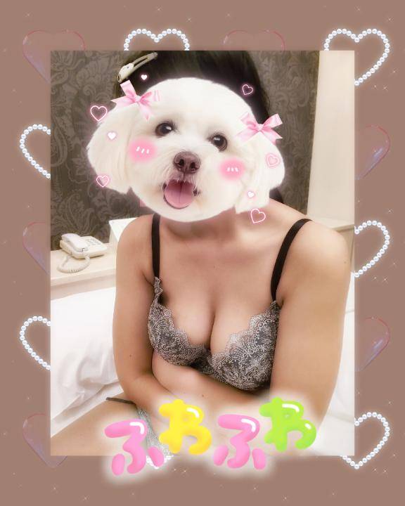 ご予約ありがとうございます?  