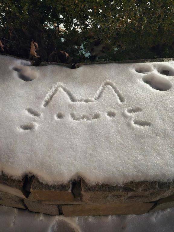 寒すぎます??( .. )??