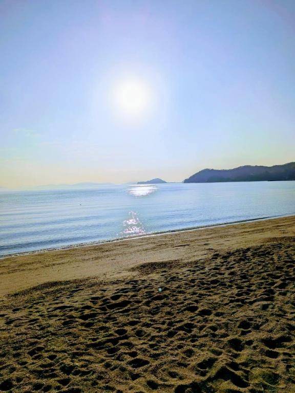 お礼?庭瀬Fineのお兄さん?