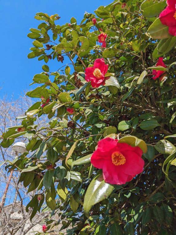 ?本指名キーウエストのお兄さん?