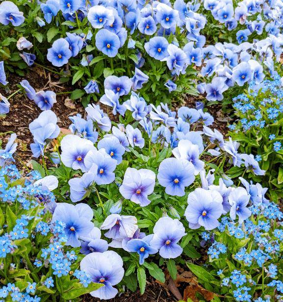 ?HOTEL　Oのお兄さん?