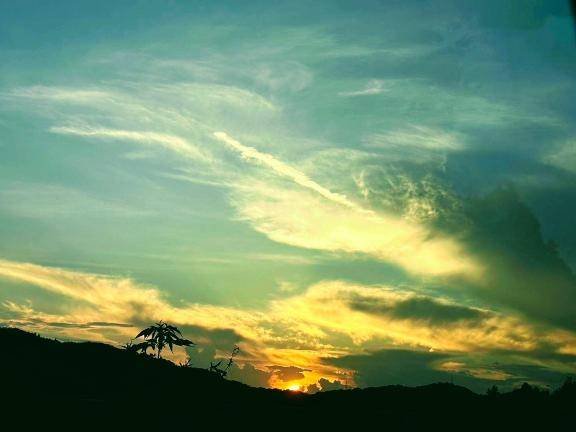 ?Moonのお兄さん?